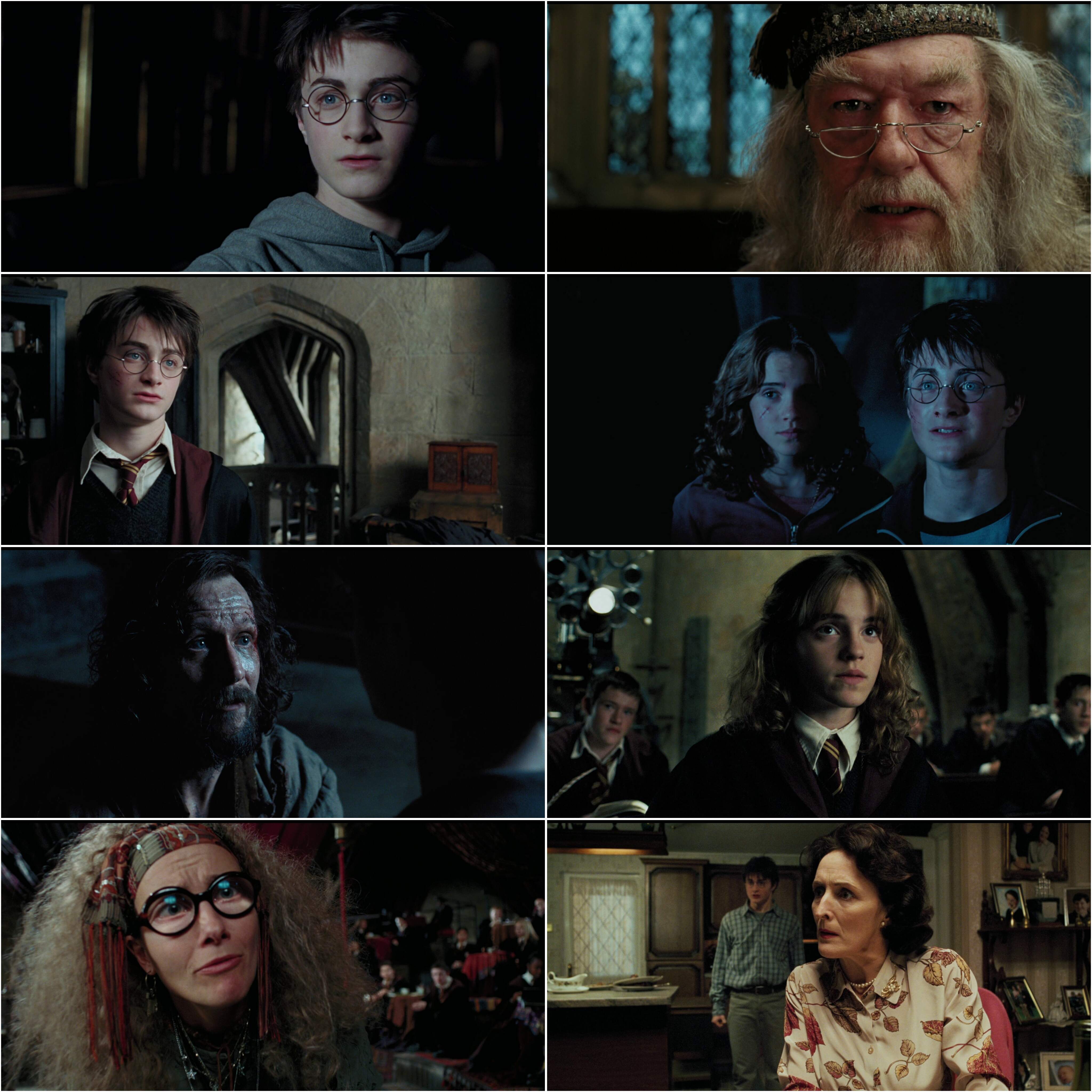 Harry Potter and the Prisoner of Azkaban (2004) (Hindi + English) Dual Audio Hollywood Movie BluRay HD ESub screenshot